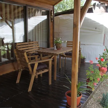 Teodora Vurșeț